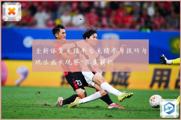 全新体育竞猜平台竞猜参与技巧与玩法成长观察-深度解析