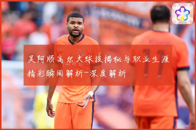 吴阿顺高尔夫球技揭秘与职业生涯精彩瞬间解析-深度解析